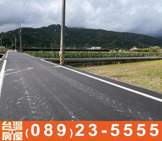 台東鹿野農地-11