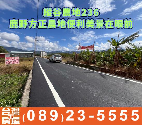 台東鹿野方正農地視野道路寬廣居住一級棒