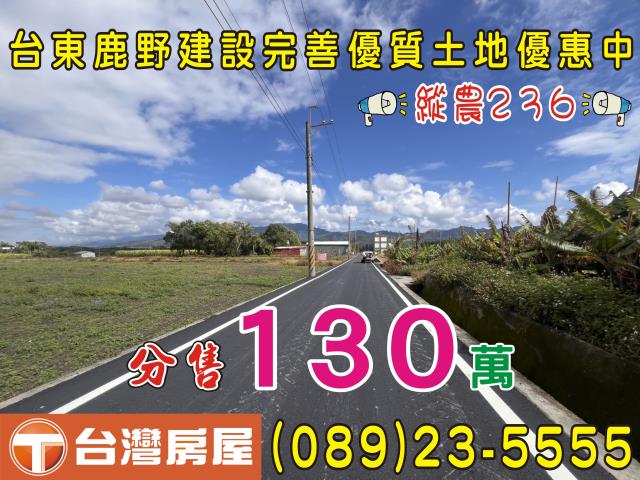 台東鹿野方正農地視野道路寬廣居住一級棒