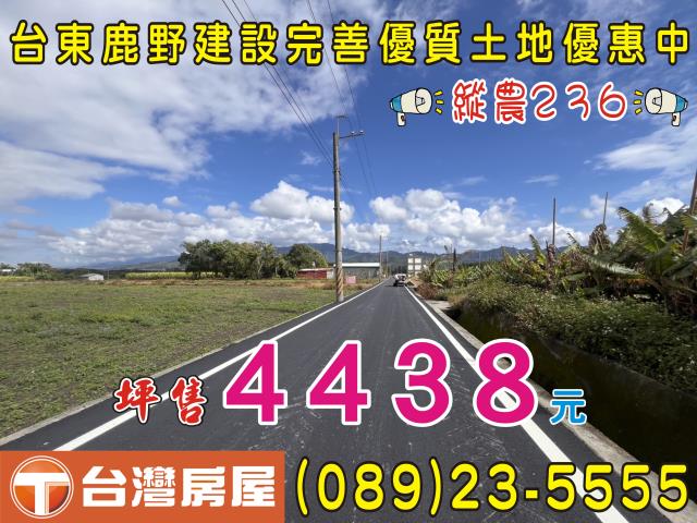 台東鹿野農地-14