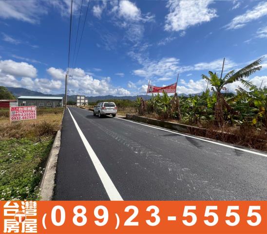 台東鹿野農地-4