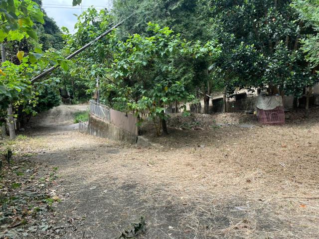 台中太平山坡地-9