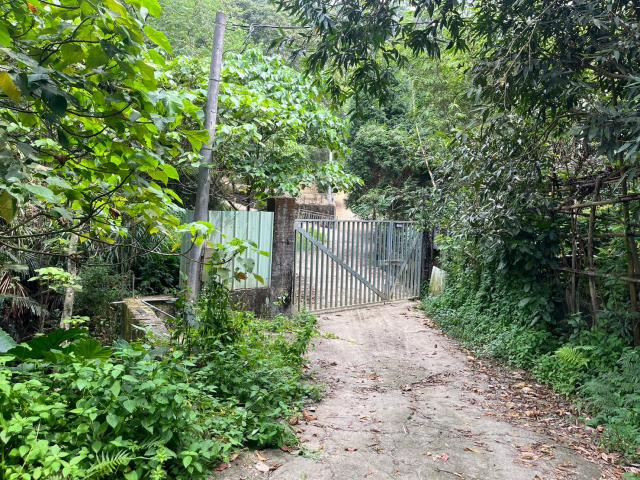 台中太平山坡地-14