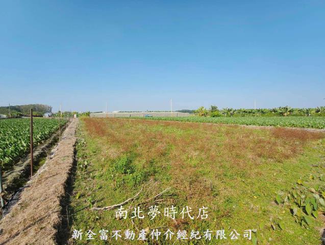 屏東高樹農地-2