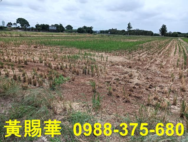 桃園新屋農地-3