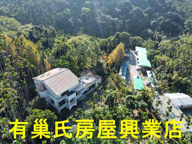 嘉義梅山農地-1