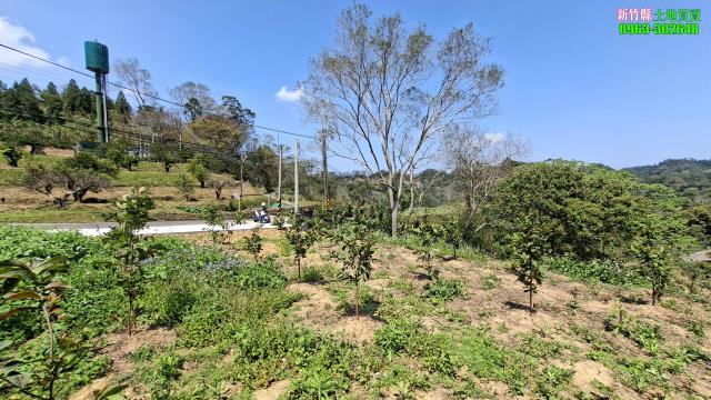 北埔農地-3