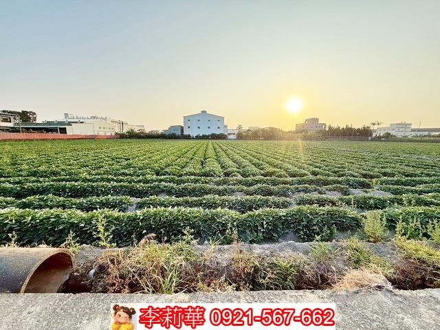 新化農地-6