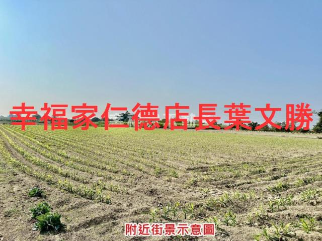 台南善化農地-14