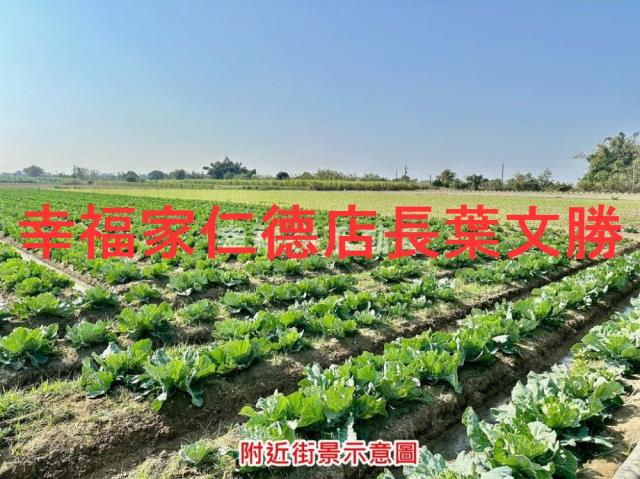 台南善化農地-2