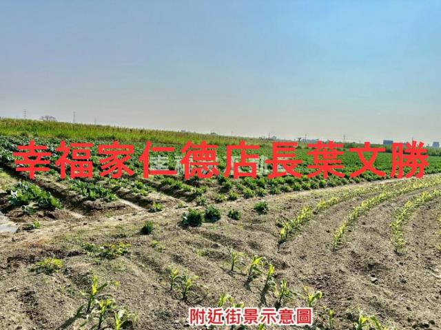 台南善化農地-7