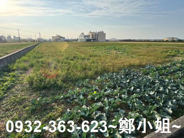 苑裡農地-10