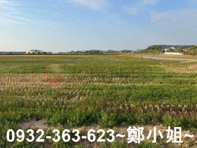 苑裡農地-12
