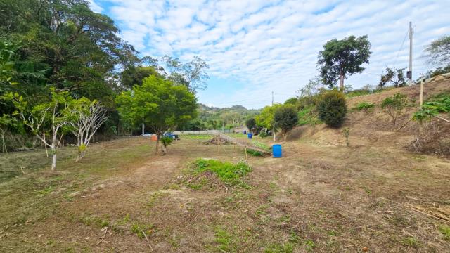 新竹北埔農地-6