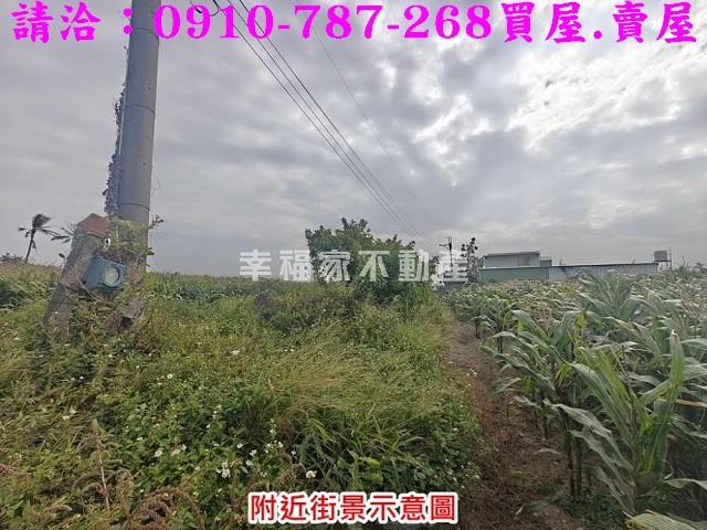 台南佳里農地-9