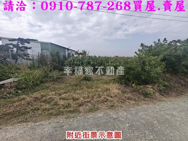 台南佳里農地-5