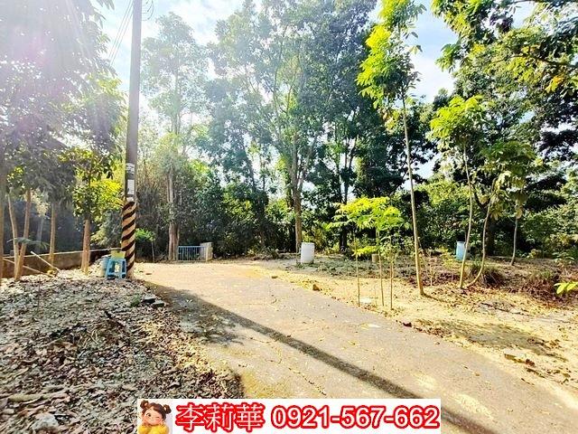 台南關廟農地-9