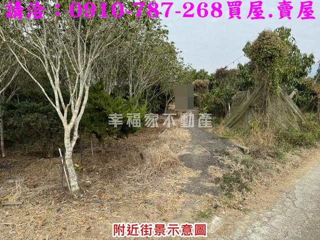 台南楠西農地-3