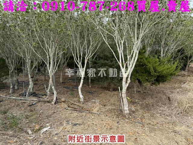 台南楠西農地-4