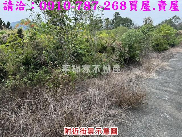 台南楠西農地-7