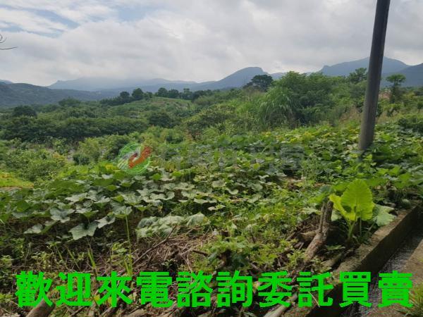 淡水三芝地產土地房屋買賣種田種樹種花園藝