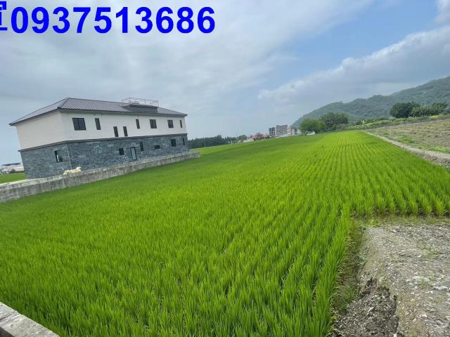 宜蘭縣礁溪鄉十六結新段農地出售