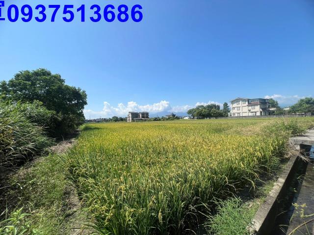 宜蘭縣員山鄉深賢段農地出售