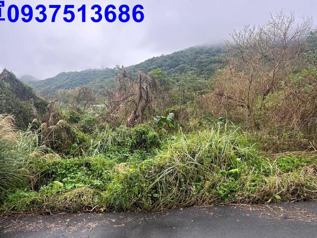 蘇澳倉儲用地-2