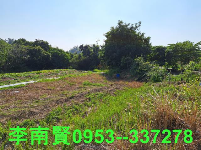 台南農地-1