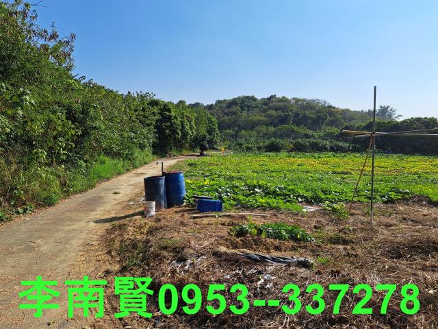 台南農地-5