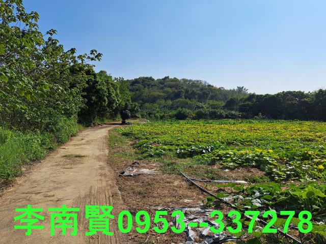台南農地-7