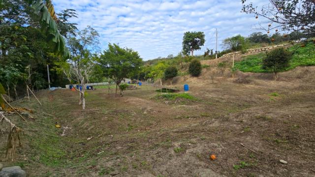 新竹北埔農地-10