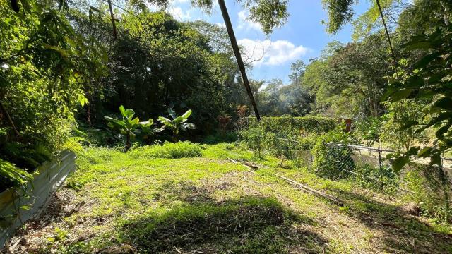 新竹峨眉農地-12