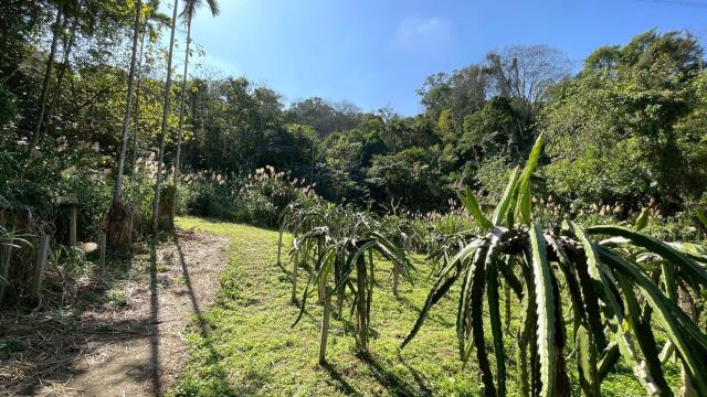 新竹峨眉農地-12