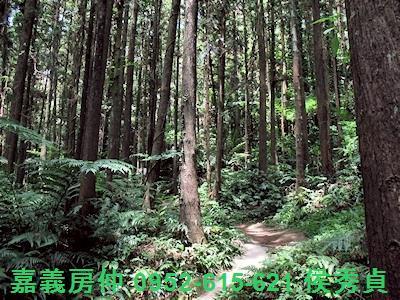 新竹北埔農地-2