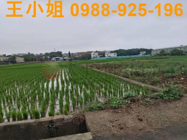 桃園楊梅農地-2