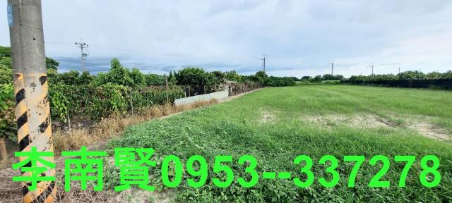 善化農地-10