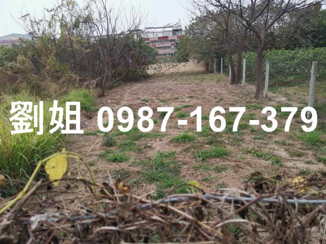 仁武建地鳳仁路雙交流道大面寬住宅用地