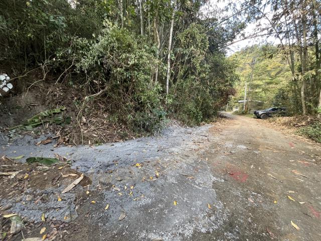 南投鹿谷山坡地-9