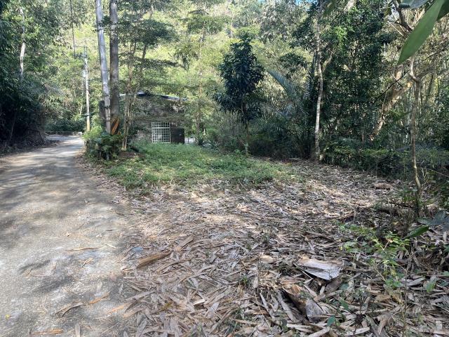 南投鹿谷山坡地-10