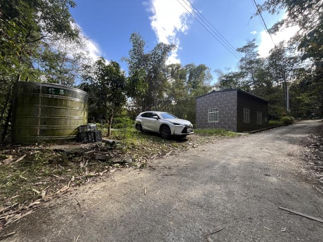 南投鹿谷山坡地-4
