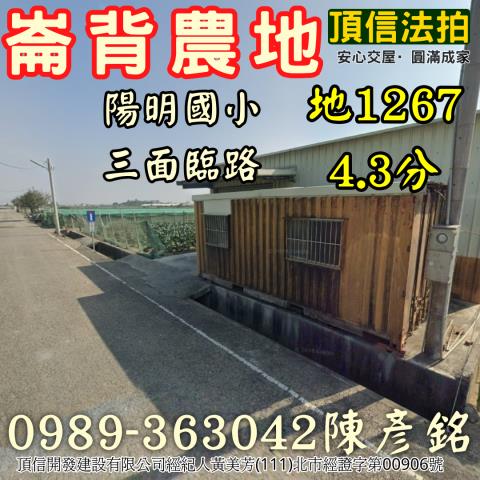 雲林崙背法拍農地-0