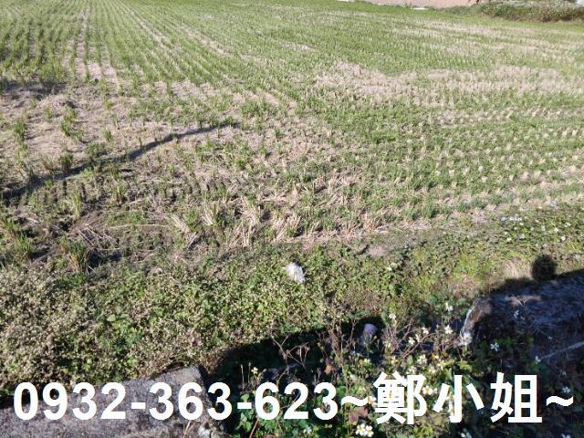 桃園大溪農地-5