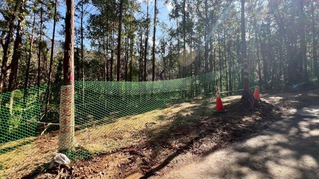 新竹竹東農地-6