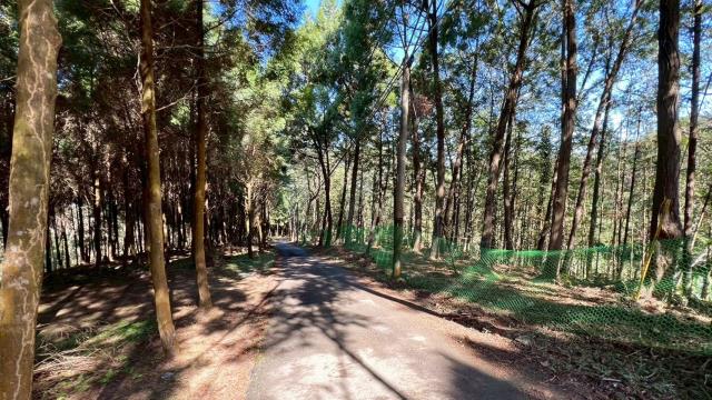 新竹竹東農地-8