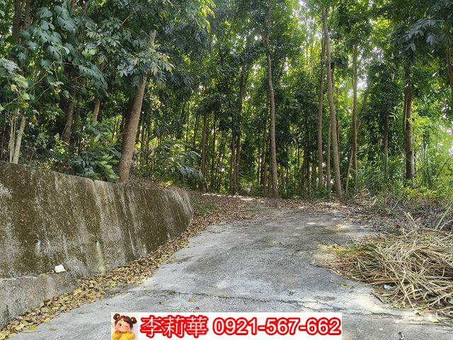 台南龍崎農地-5