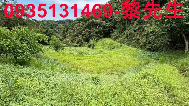 苗栗土地南庄土地