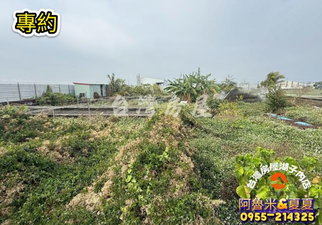 嘉義阿魯米建地農地買賣台灣房屋嘉義湖子內店富鑫團隊呂昆佩