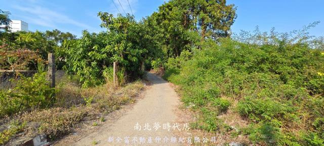 台南農地-7