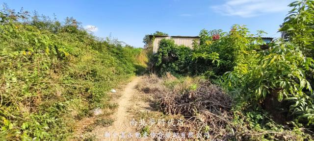 台南農地-7